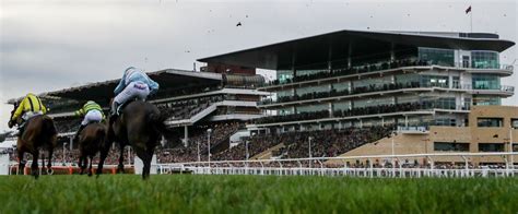 bet at cheltenham